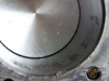 Dolnozaworowiec