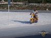 Honda Cub